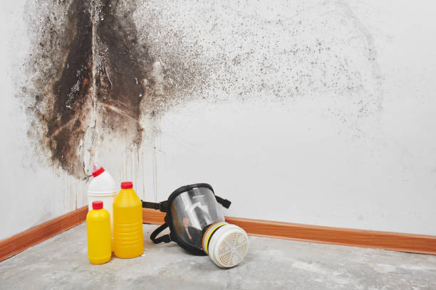 Best Crawl Space Mold Removal  in Kewanee, IL